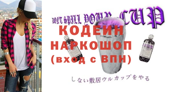 хмурый Дмитровск