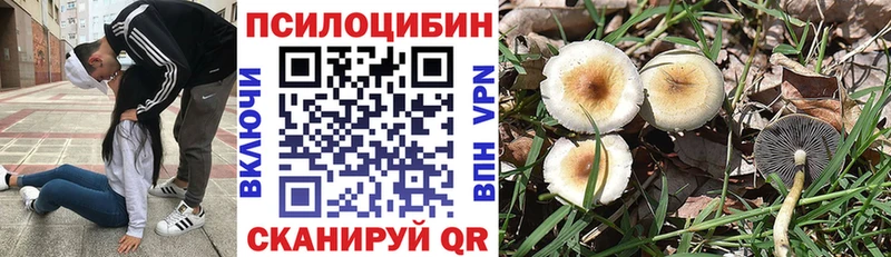 Галлюциногенные грибы Psilocybe  мориарти телеграм  Новомосковск  купить   OMG ТОР 